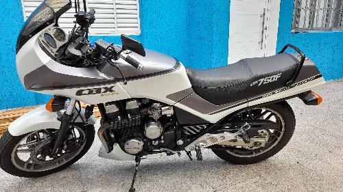 Honda HONDA CBX-750F 7 GALO Gasolina 0 portas, câmbio Manual em São Paulo -  Yellow Car Multimarcas